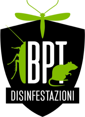 BPT Livorno - disinfestazioni da insetti